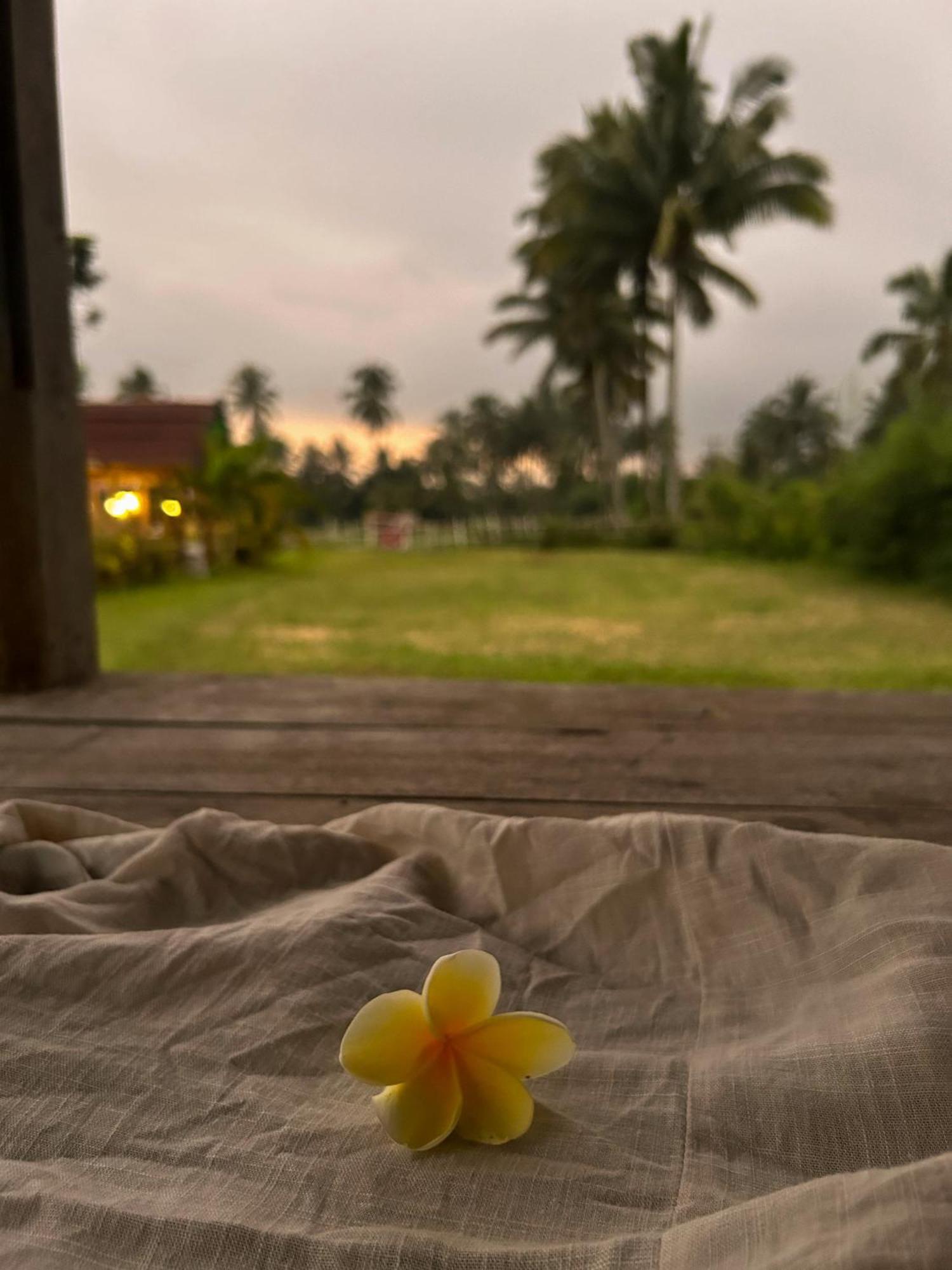 Linkgreen Homestay Lombok Tetebatu Exteriér fotografie