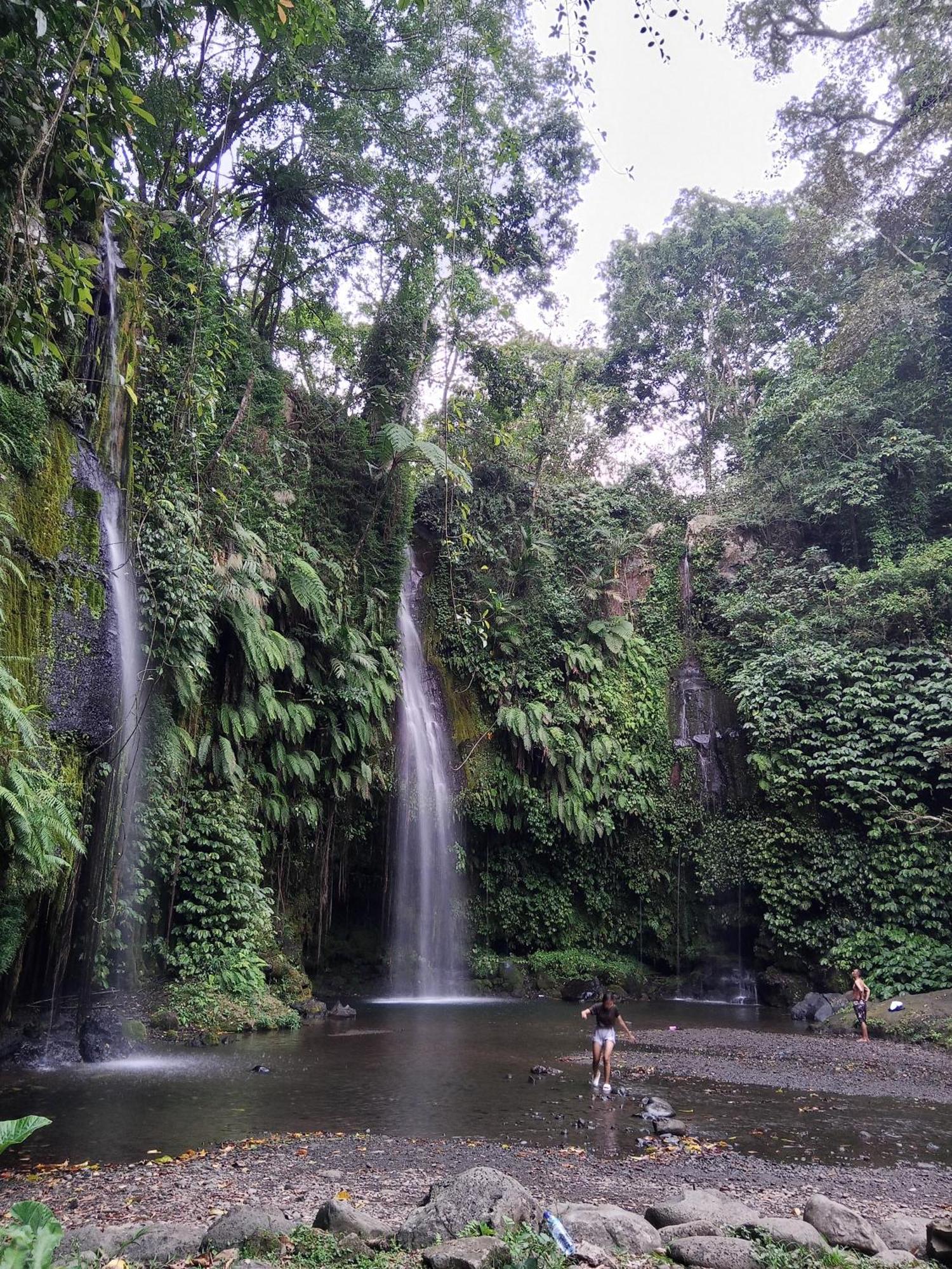 Linkgreen Homestay Lombok Tetebatu Pokoj fotografie